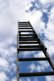 ladder